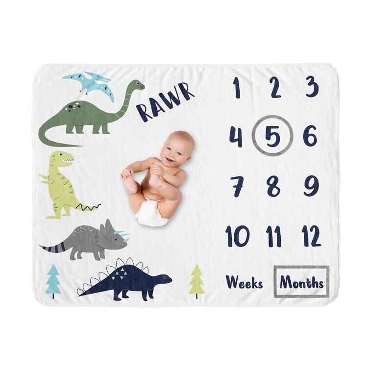 Sweet Jojo Designs Mod Dinosaur Blue Green Fleece Baby Blanket